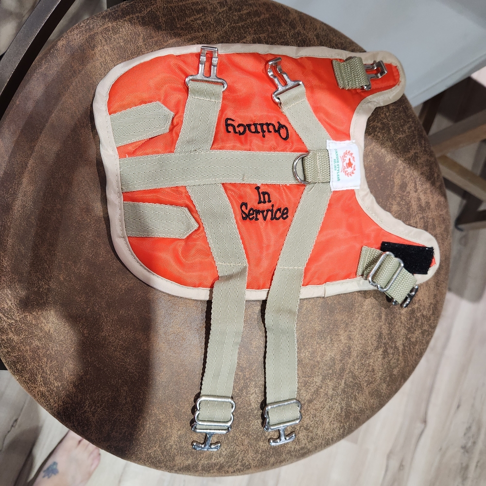 Orange Service Dog Vest for PETS